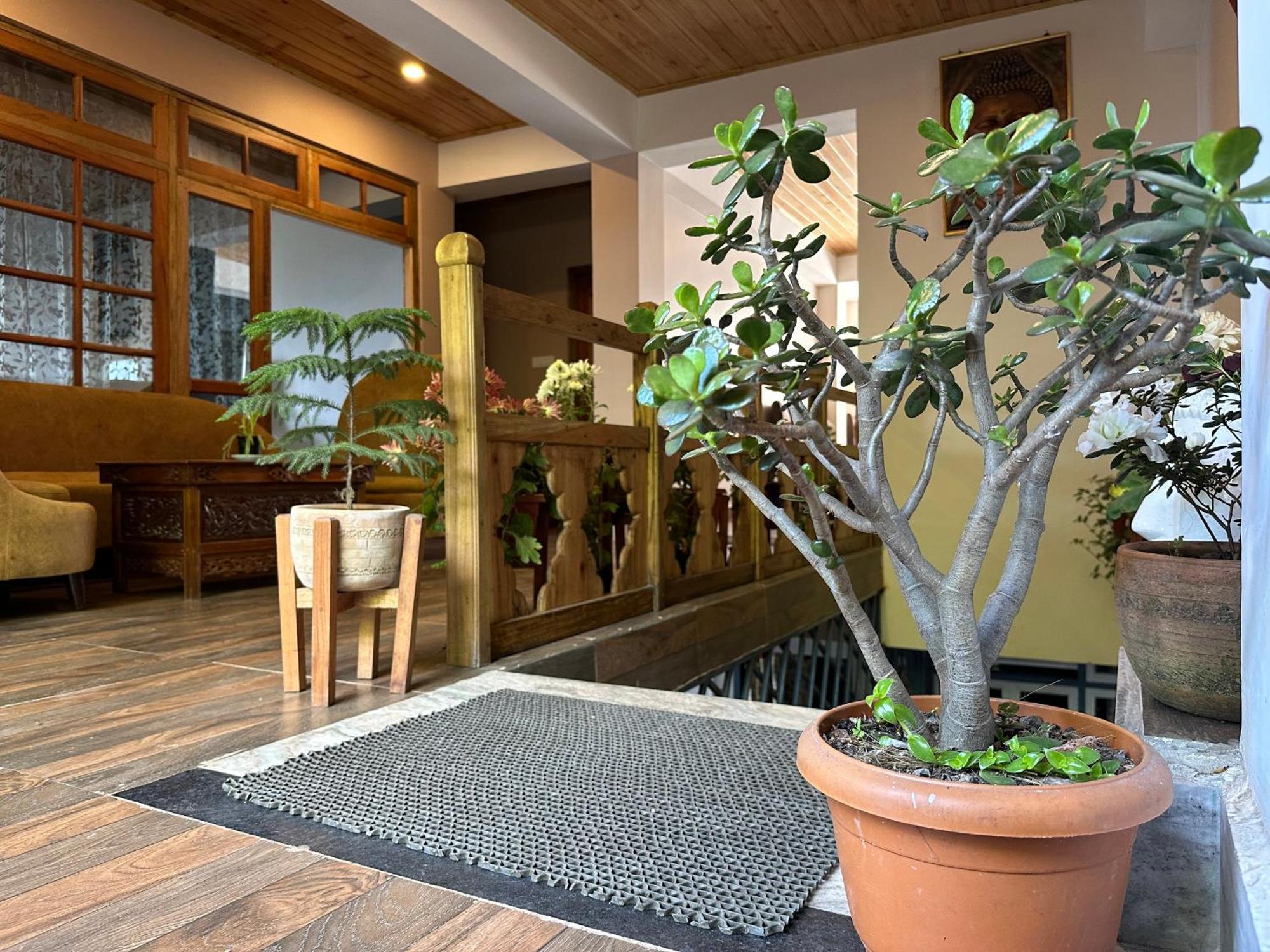 Homestay Hello